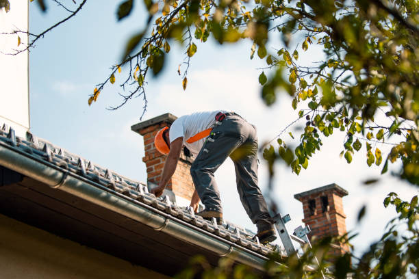 Best Residential Roofing Contractor  in Warren, OH