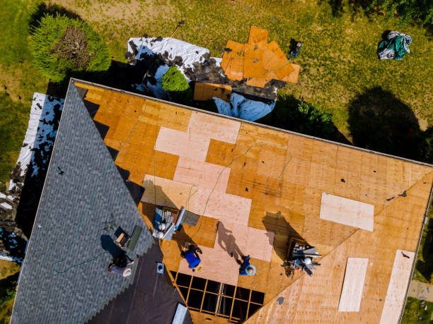 Best Affordable Roofing Company  in Warren, OH