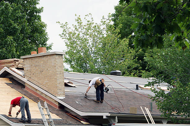 Best Roof Restoration Services  in Warren, OH