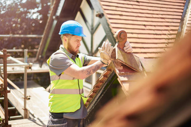 Best Roof Gutter Cleaning  in Warren, OH